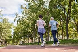 什么是“理性极限”？（如何理解“理性极限”？）